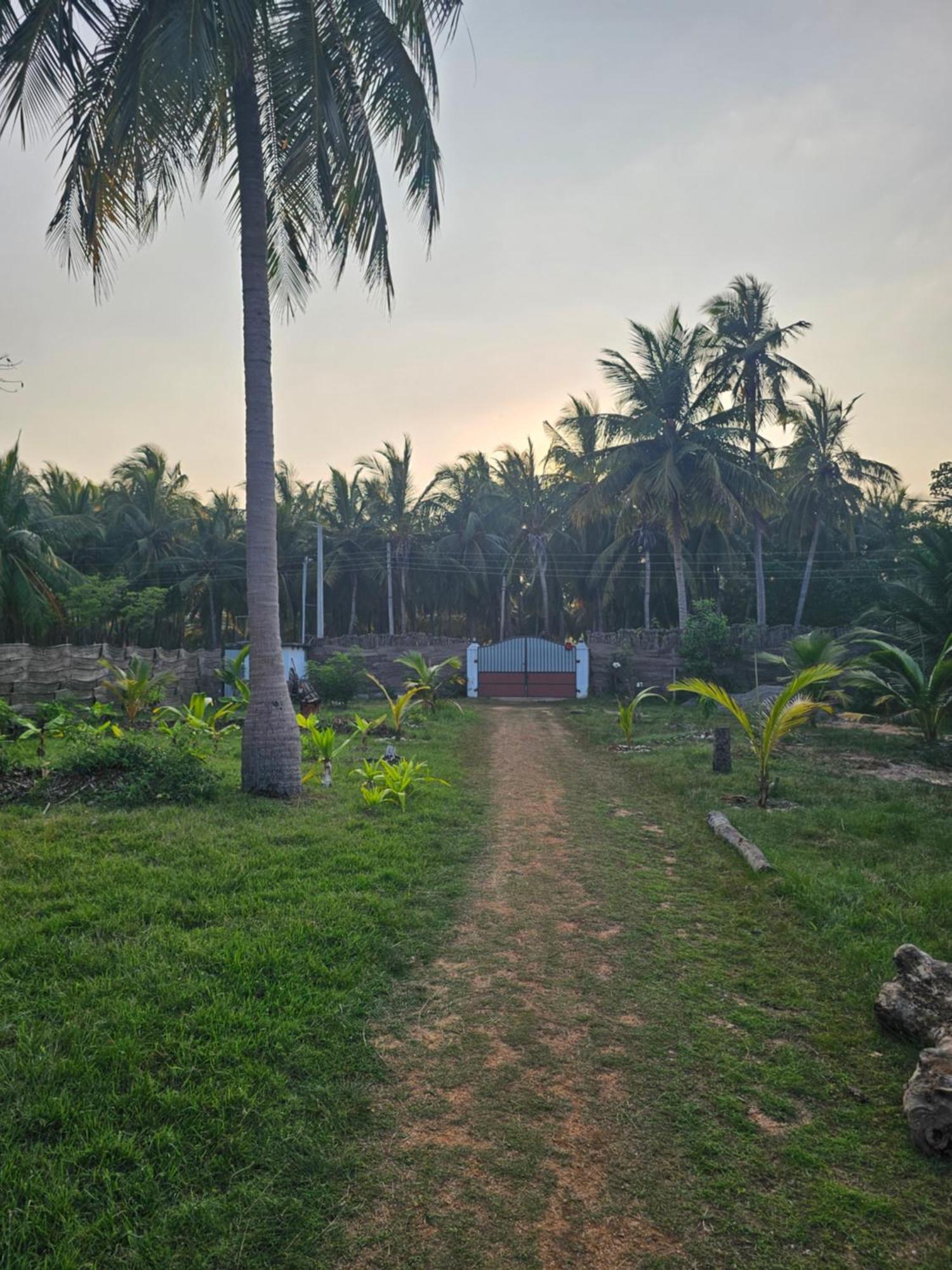 Private Kitevilla Garden&Water View Kalpitiya Exterior foto